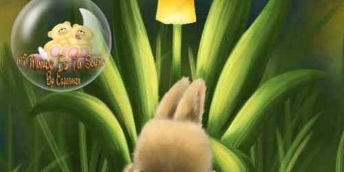 conejito dulces sueños