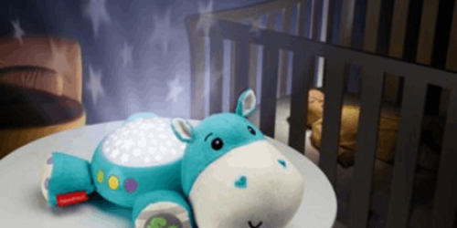 hipopótamo dulces sueños