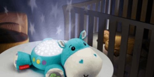 hipopotamo dulces sueños